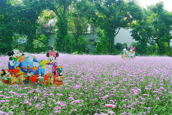 廣州花都香草世界拓展訓(xùn)練基地